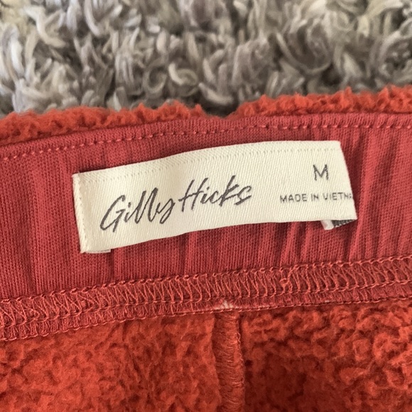 Gilly Hicks- Teddy Bear shorts (LIKE NEW!) - Picture 3 of 3